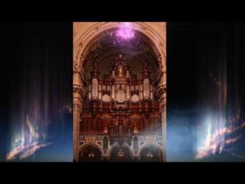 Phantasie über "Alle Menschen müssen sterben" op. 52 1 Max Reger | Cor van Wageningen | Berliner Dom