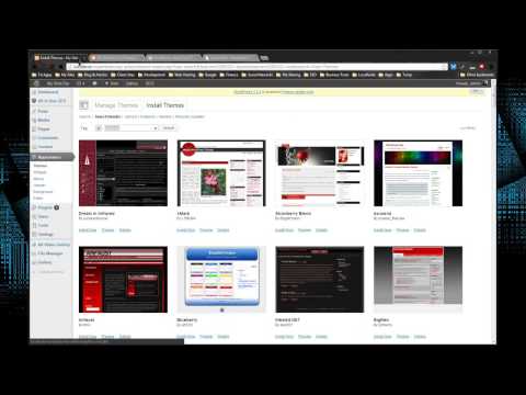 WordPress Training for Beginners From Scratch – Chapter 15 Downloading and Installing Themes