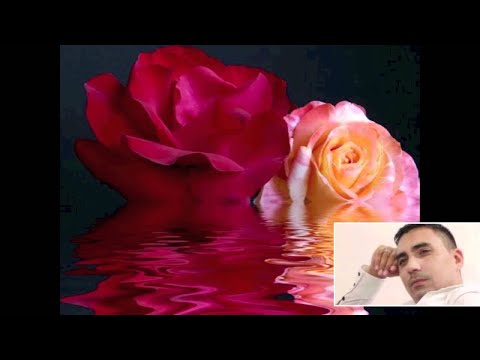 COSTEL CIOFU - TU TACI INIMA SI RABZI