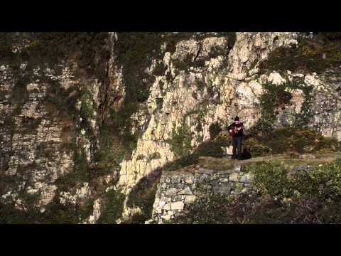 'peter gabriel byrne' Cry Cry featuring 'Alan Doherty'