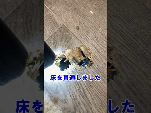 中華人民共和国