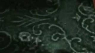 Blood+ AMV- A Cross and a Girl Named Blessed.