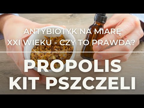 , title : 'Kit pszczeli propolis naturalny antybiotyk na miarę XXI wieku #pszczoły #propolis #kit pszczeli'