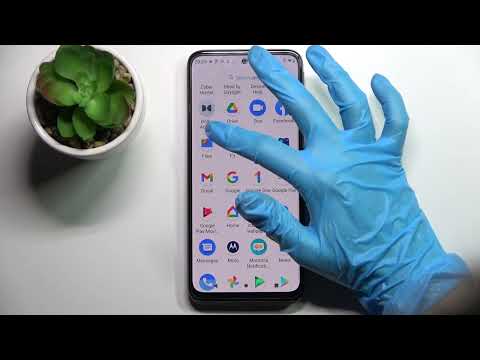 How to Access all Files Downloaded on Motorola Moto G31 - Locate all Gathered Downloads