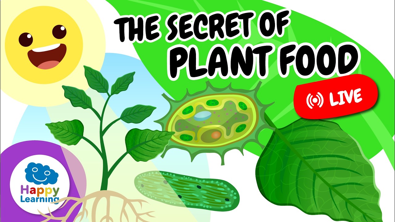 🔴 LIVE: PLANTS ARE INCREDIBLE! 🌿 Learn Photosynthesis | Educational Videos | @HappyLearningEN