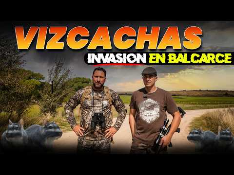 Increible Caceria de VIZCACHAS en Balcarce!