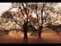 Through The Valley -The Isaacs