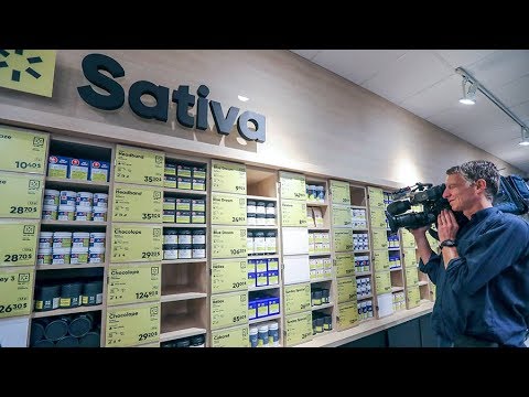 download lagu mp3 mp4 Sqdc, download lagu Sqdc gratis, unduh video klip Sqdc