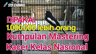 Download lagu Masteran Kacer Juara Nasional Full isian gereja tarung,kapas tembak ,lovebird, kenari, cucak jenggot mp3 Download lagu Masteran Kacer Juara Nasional Full isian gereja tarung,kapas tembak ,lovebird, kenari, cucak jenggot mp3
