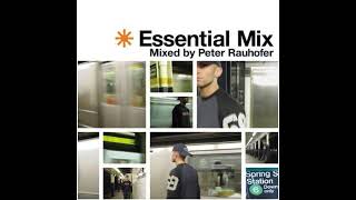 Download lagu Arkarna - Skin (Peter's Unreleased Dub) (2001) mp3