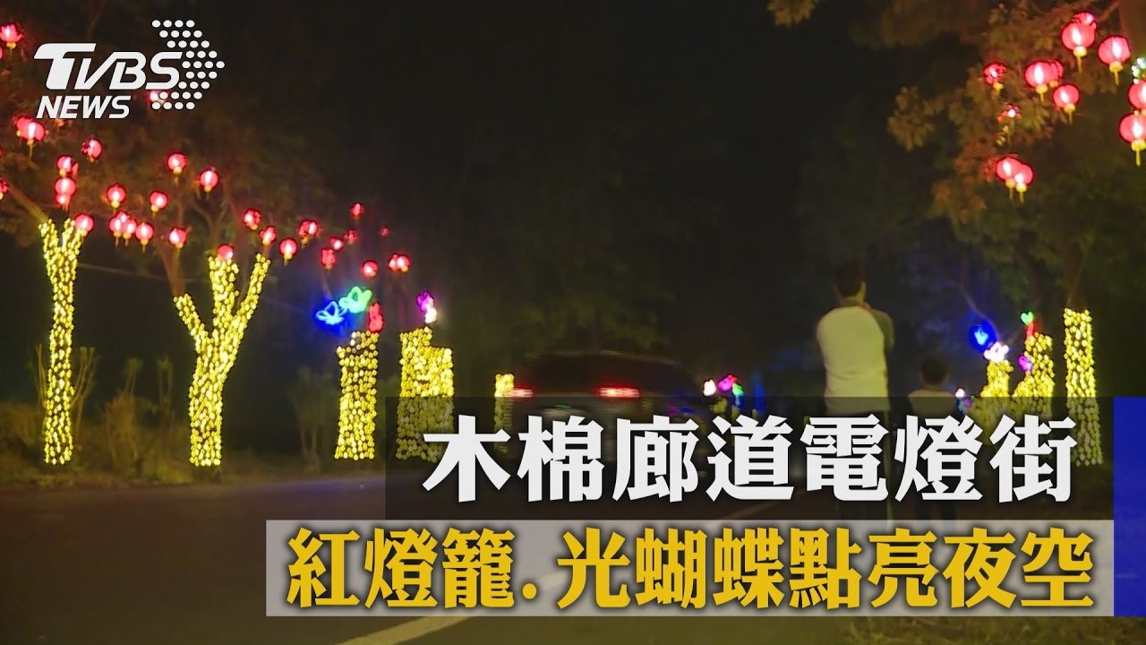 木棉廊道電燈街　紅燈籠、光蝴蝶點亮夜空