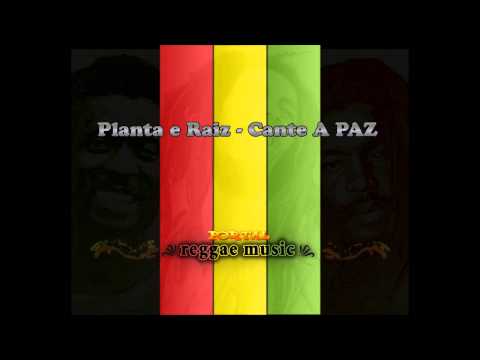 Planta e Raiz - Cante a PAZ