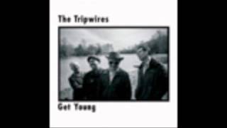 Anything Nice - The Tripwires