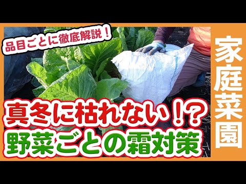 庭を寒さや霜から守る肥料は何ですか?この冬おすすめの5本をご紹介します!  庭園