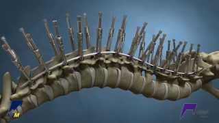 Mesa_Range_Final_H264