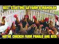 BEST STARTING SA FARM O MANOKAN NATIVE CHICKEN FARM PANALO ANG KITA KAFARMERS