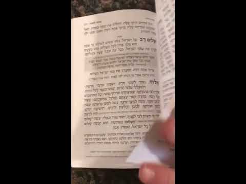 מנחה לשבת ויום טוב חזן הרב משה ויסבלום - Mincha for Shabbat and Yom Tov Cantor Rabbi Moshe Weisblum