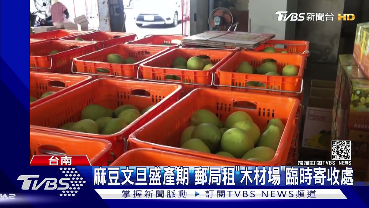 麻豆文旦盛產期　郵局增租「木材場」當臨時寄收處