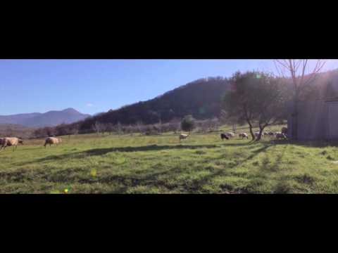 ITALIA SEGRETA spot #05