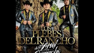 La Historia Del  20 - los Plebes Del Rancho De Ariel camacho