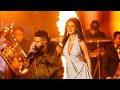 Ap Dhillon Tara Sutaria Hottest Collab In Jaipur Concert Ap Dhillon Jaipur Concert Jaipur