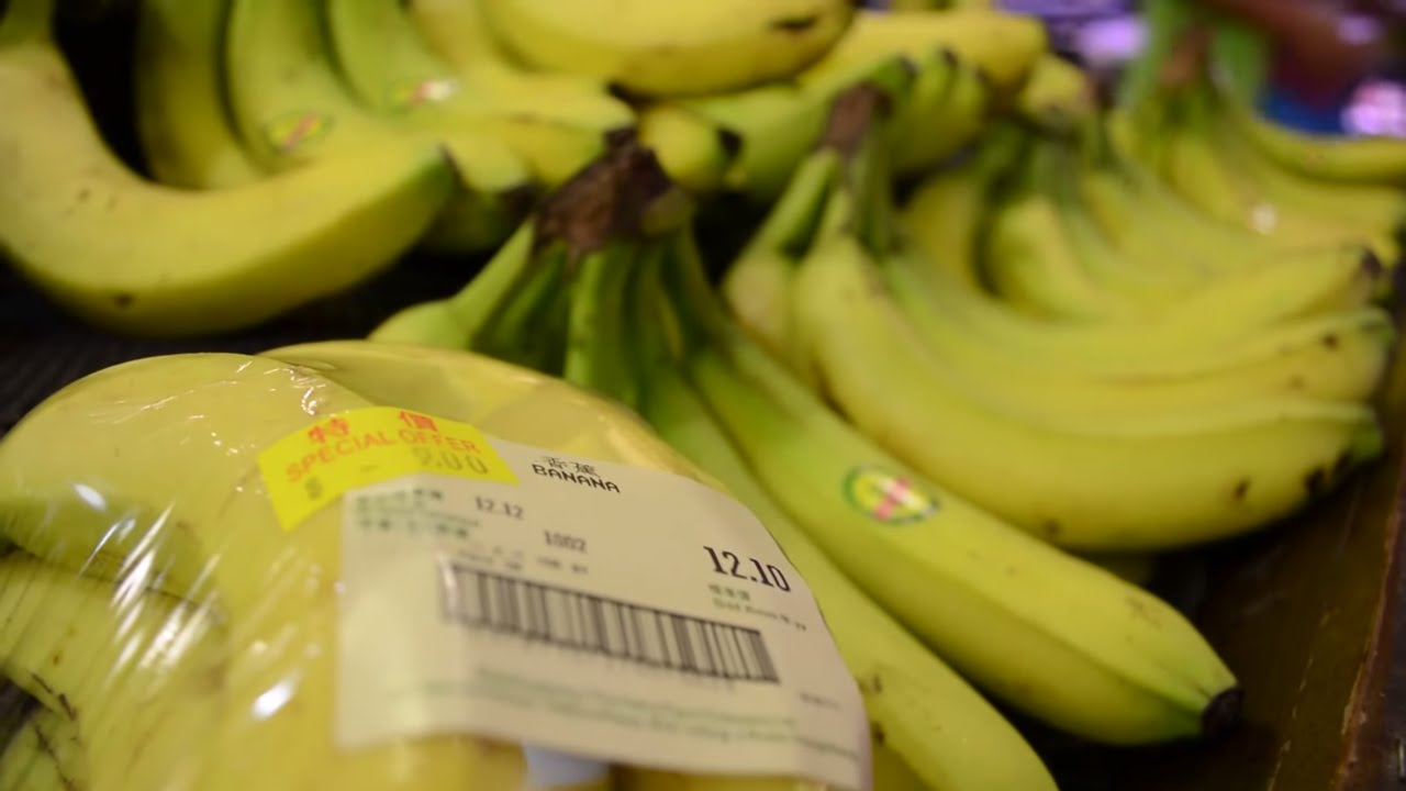 Fairtrade Bananas Documentary Short Film