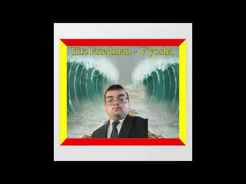 Yitz Friedman - Vayosha (Audio)