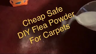 Flea Powder for Carpets Homemade Fast Cheap and Easy / See Links & Info in Description