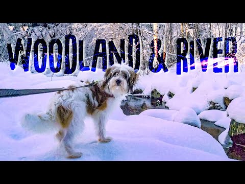 Lillehammer Woodland & River Walk Around Maihaugen