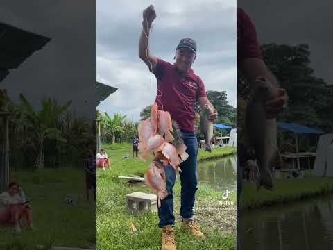 Día de pesca en pradera valle del cauca