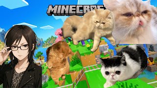 【マイクラ】猫とマイクラ　労働３日目