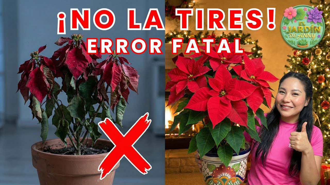 Cuna de Moisés puntas secas