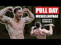 20 Min. PULL DAY für Zuhause mit Klimmzugstange | Rücken, Bizeps - Sascha Huber