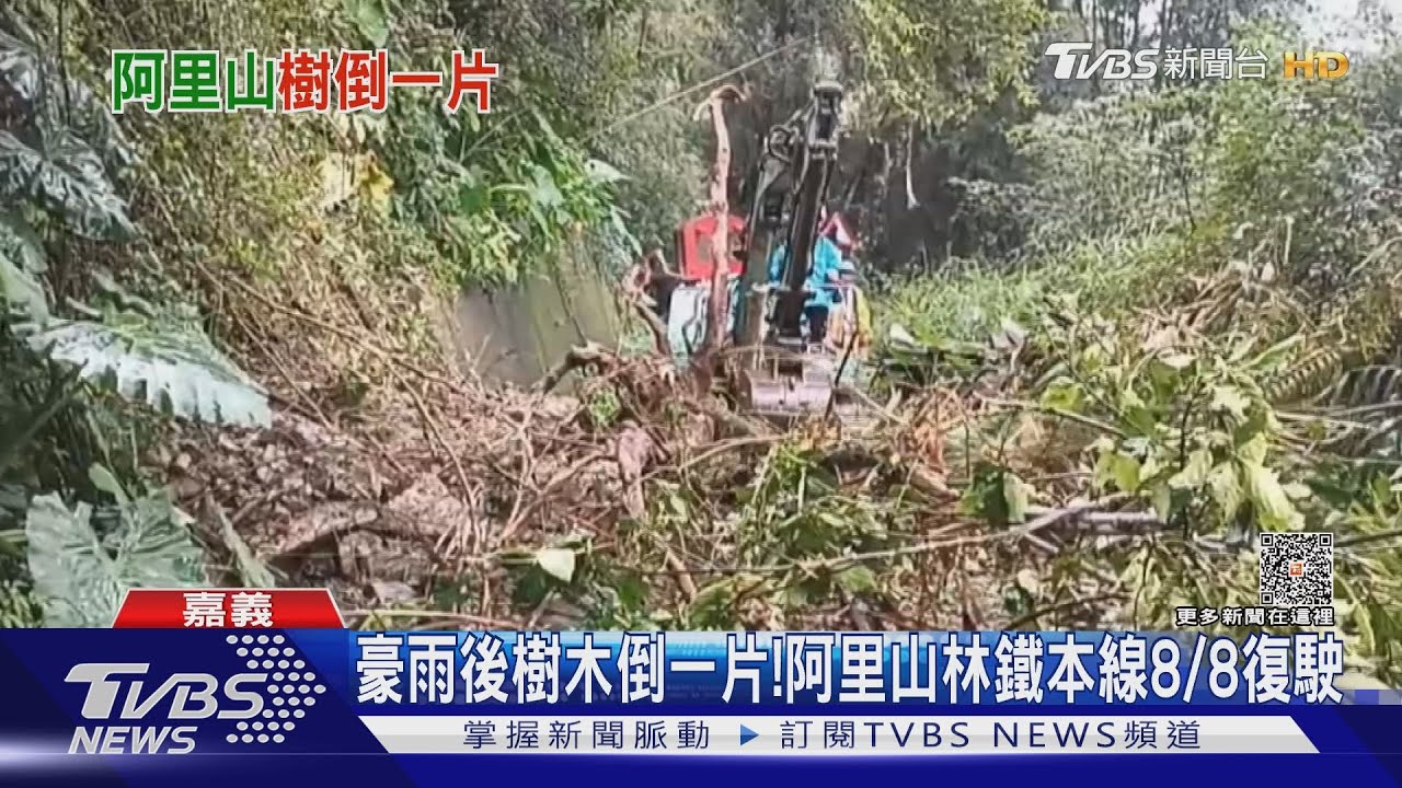 豪雨過後!樹木倒軌道上 「阿里山林鐵本線」8/8才復駛