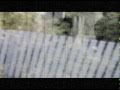"INTO LIFE" The Rurals ft Jaidene Veda