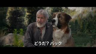 予告編