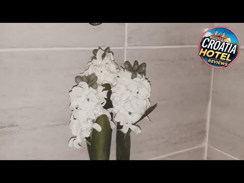 Ivan Domazet | Dugi Rat, Croatia | Hotel Review 🛏️