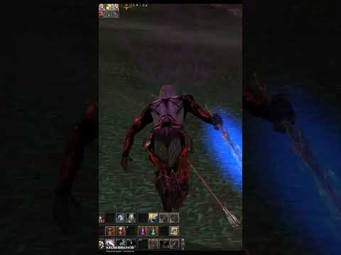 Lineage 2 Adventurer 1 vs 4 Sagittarius