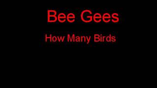 Bee Gees How Many Birds + Lyrics