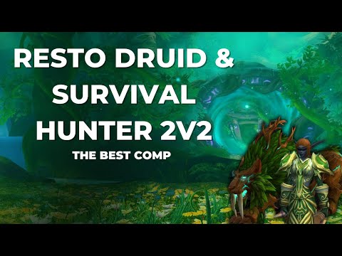 Resto DRUID and Survival HUNTER 2V2 ARENA 2100 xp