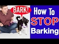 How to Train your Dog to STOP BARKING!