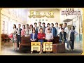 美麗人生 壯志高飛 第299集 胃癌 台視60週年大戲 Life Is Beautiful S5 EP299 全