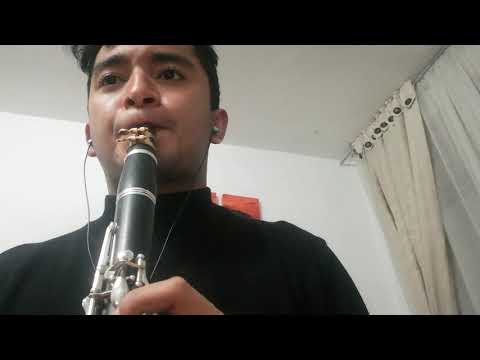 Video 8 del compás 261 al 287