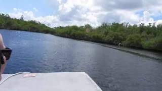 preview picture of video 'Everglades airboat ride'