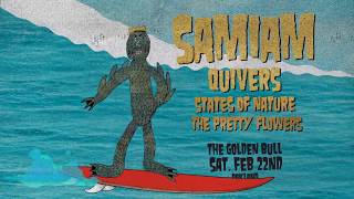 Samiam :: Golden Bull, Oakland Feb 22, 2020