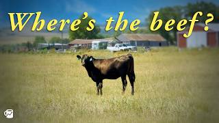 How America broke its beef industry