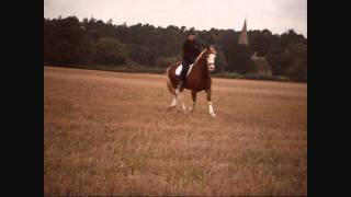 shaimus 18th and 20th september stubble fields!