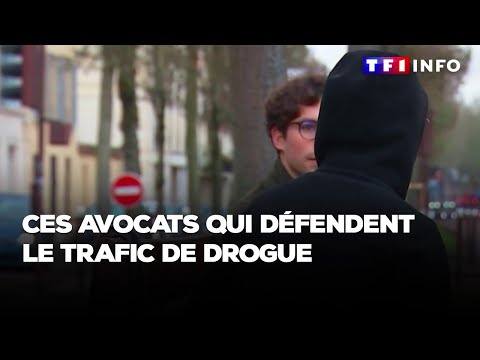 Ces avocats qui défendent le trafic de drogue
