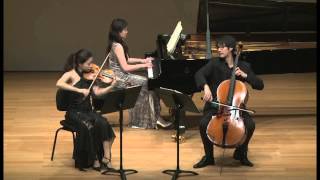 Fournier Trio: J. Brahms Trio No.2 in C, Op.87 -  Part 3/4