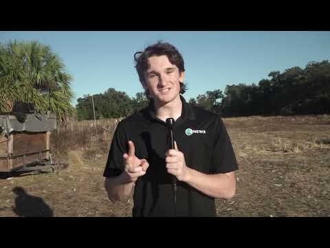 ZNEWS 11/20/25 Local farm provides turkeys